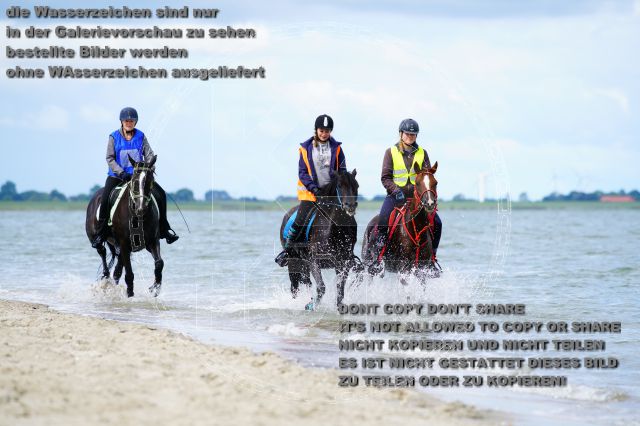 s_K3F05090.JPG